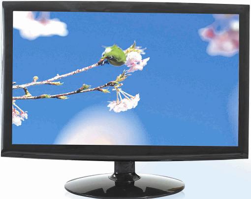 LM1759 17" LED monitor