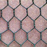 Hexagonal Mesh