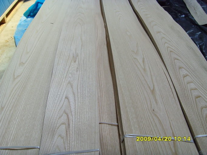 elm veneer