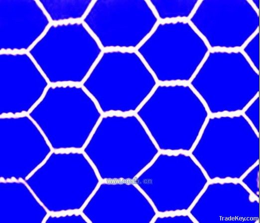 hexagonal wire netting