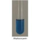 Allophycocyanin