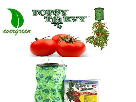 Topsy turvy tomato planter