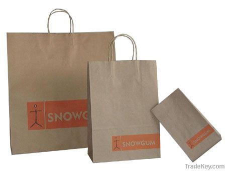 paper bag gift bag food paper bag shopping bag