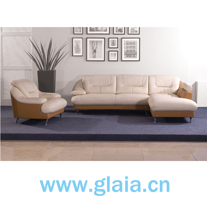 modern leisure leather sofa