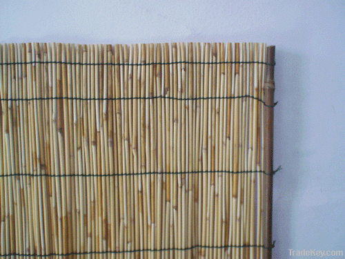 Reed Fence