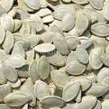 pumpkin seeds