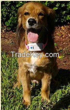 GPS Pet Tracker