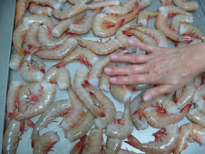 USA wild caught frozen shrimp
