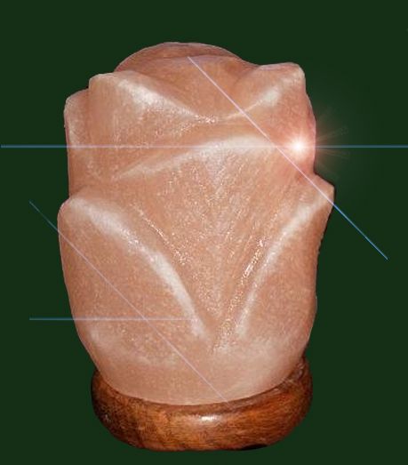 Flower Shape Salt Lamp