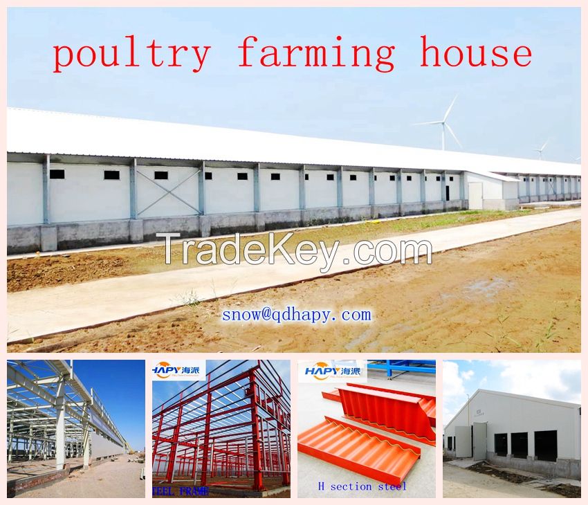 Poultry house automatic equipment and steel structure construction