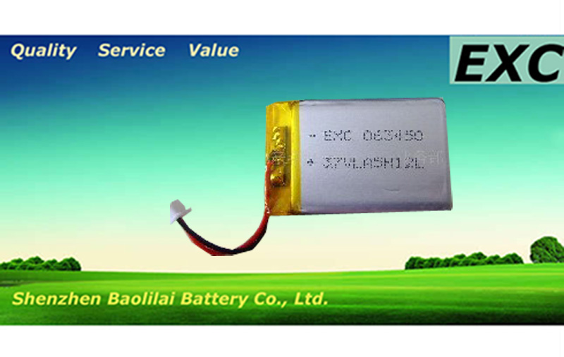 polymer lithium-ion battery