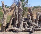 cork tubes, branches, sheets