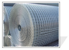 Welded Wire Mesh