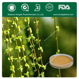 White Willow Bark extract  Salicin15%-98%