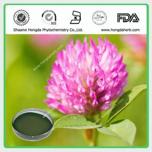 Red Clover extract  Total Isoflavone 2.5%-40%