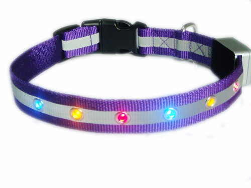 SHW6-purple LED Flashing Dog Collar