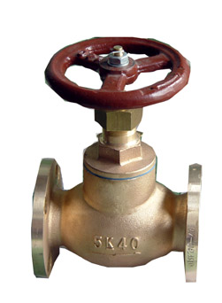 Globe Valve