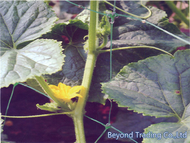 Planting Net