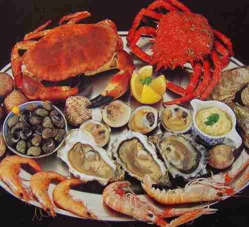 SEAFOOD