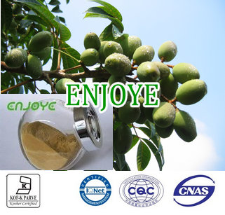 Olea Europaea L Extract