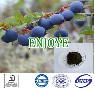 Bilberry Extract Anthocyanidins