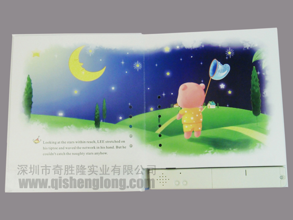 Recordable story book