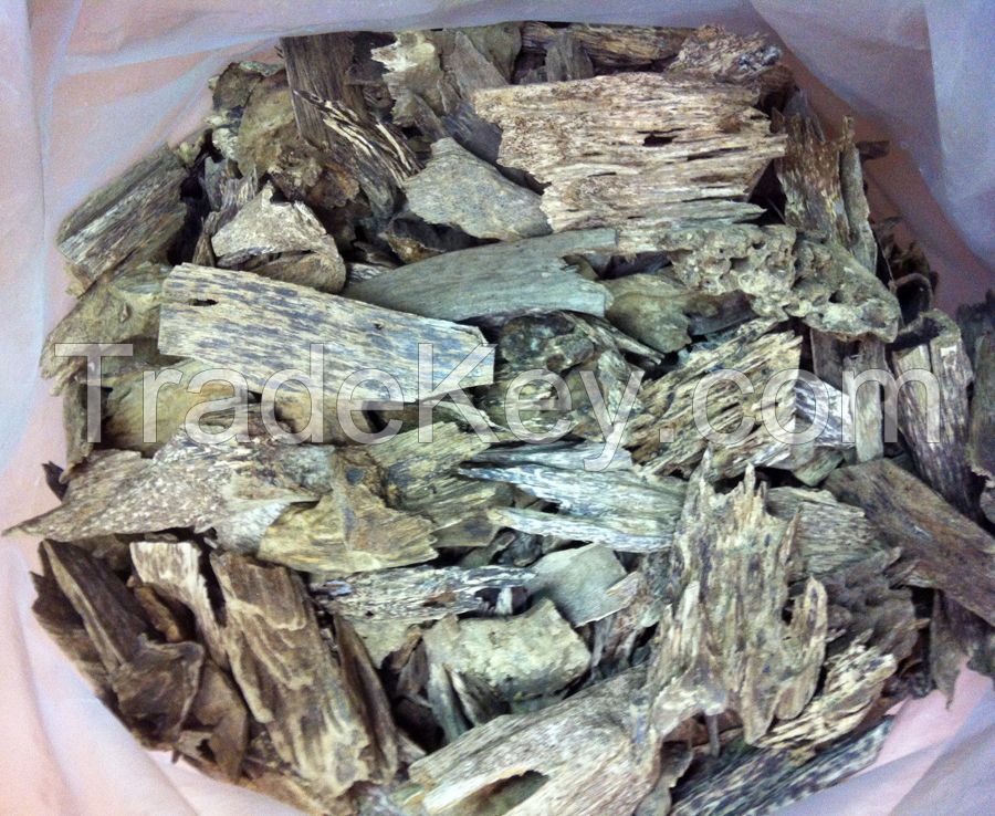 Cambodia Natural Agarwood Chip