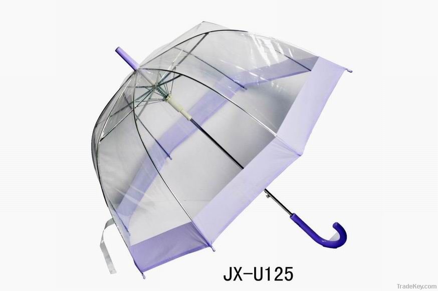 umbrella