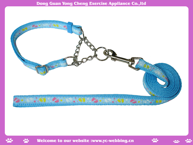 dog collar and leash