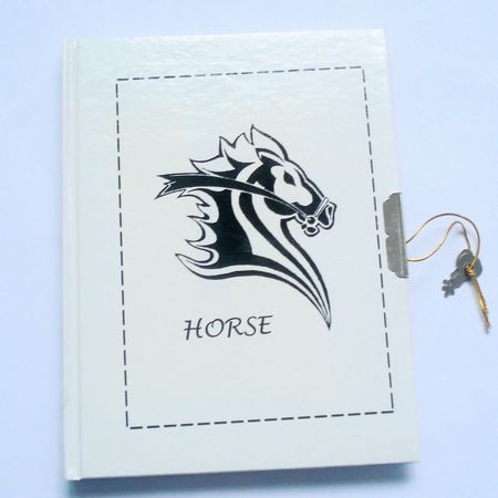 padlock notebooks