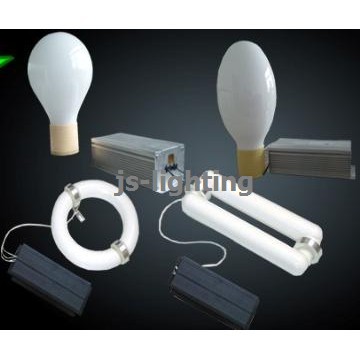 Magnetic Induction Lamp(Electrodeless Light)
