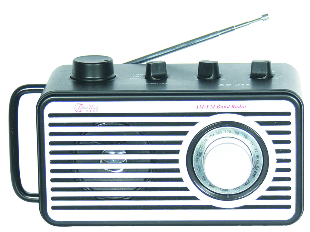Portable AM/FM Radio