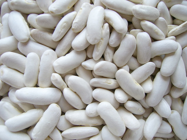 Alubia white bean