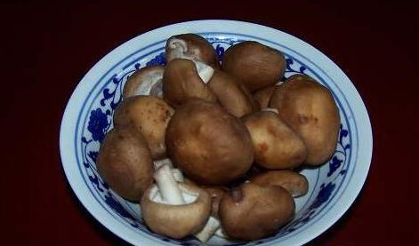 Shiitake