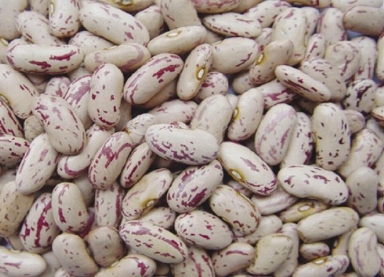 kidney beans