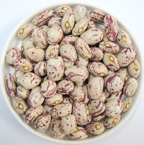 Round Light Speckled Kidney beans