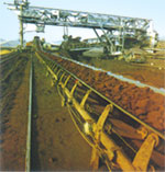 Nylon conveyor belt and EP conveyor belt