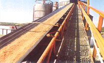 General conveyor belt