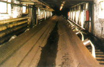 Oil-resistant conveyor belt