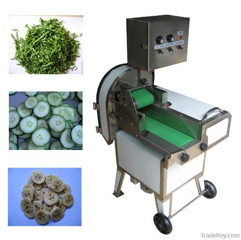 Vegetable Cutter