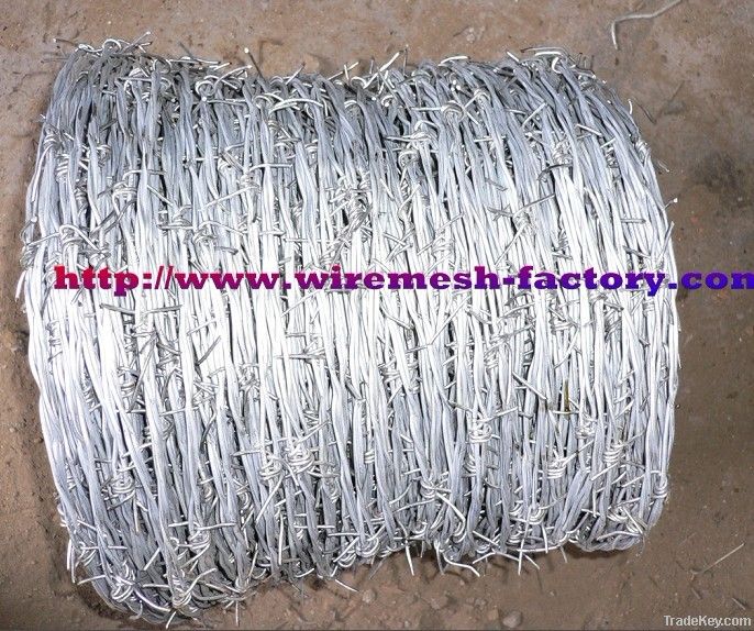 electro /hot-dipped galvanized Barbed Iron Wire