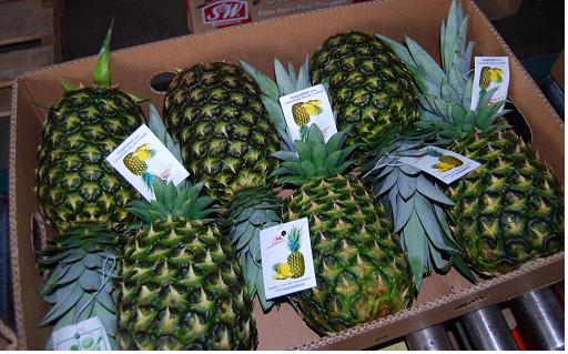 Pineapples