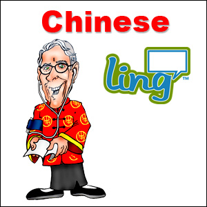 CHINESE LANGUAGE TRANSLATOR HARIDWAR