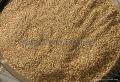AgriEx ***** Sesame seeds and oil seeds and Agricultural products
