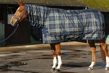 turnout horse  rugs combo(MLG8038)