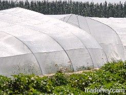 PE anti insect net/Insect proof net