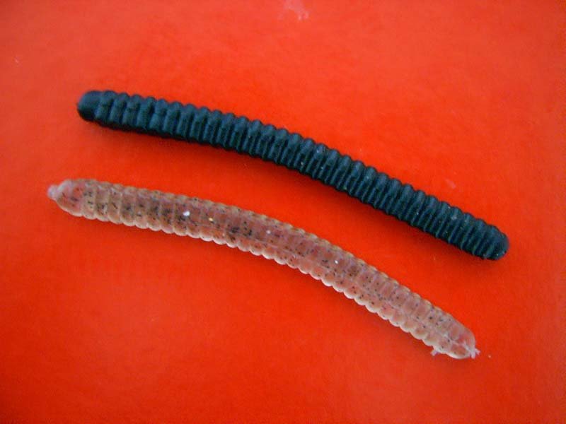 fuchangfishing soft worm fcqy2