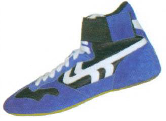 Wrestling shoes