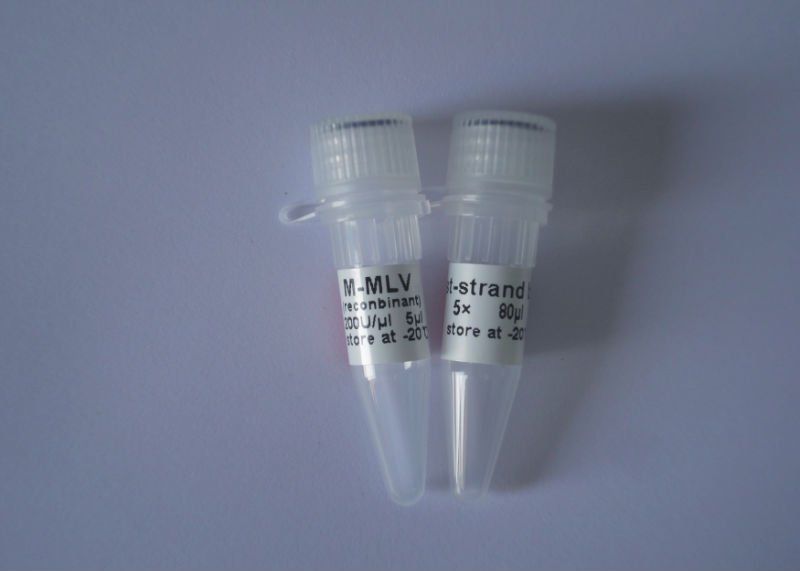 M-MLV Reverse Transcription Kit