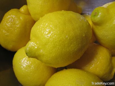 Fresh lemons